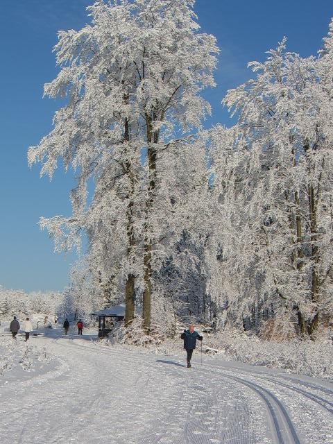 Haus Cristallo Ольсберг Экстерьер фото